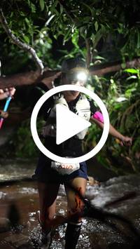 BIB:  <button type="button" onclick="openModal(27614616)" class="btn btn-primary btn-sm float-right" data-toggle="modal" data-target=".modal-high-quality">
                <i class="fa fa-download"></i> Download
                </button>